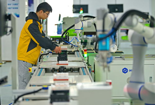 江西赣州 智能设备赋能产业升级，信息技术咨询服务引领提质增效新篇章