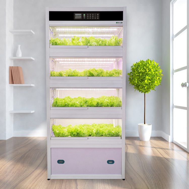 家庭阳台无土栽培 智能立体种植系统与信息技术服务的融合